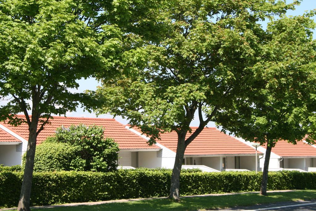 Aero Marina Villa Ærøskøbing Exteriör bild